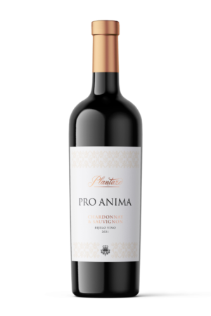 Pro Anima Chardonnay & Sauvignon